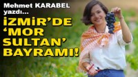 Mehmet KARABEL yazdı... İzmir'de 'mor sultan' bayramı!