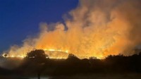 Seferihisar'da korkutan orman yangını: 3 saatte söndürüldü!