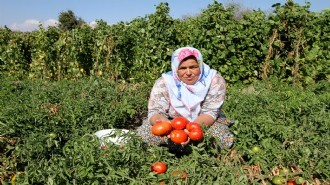 Yamanlar şenlikle  yeniden doğacak!