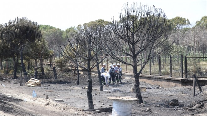 Tır ile tanker çarpıştı: 4 ölü, 13 yaralı