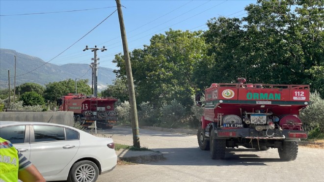 Tire de ormanlık alanda yangın çıktı!