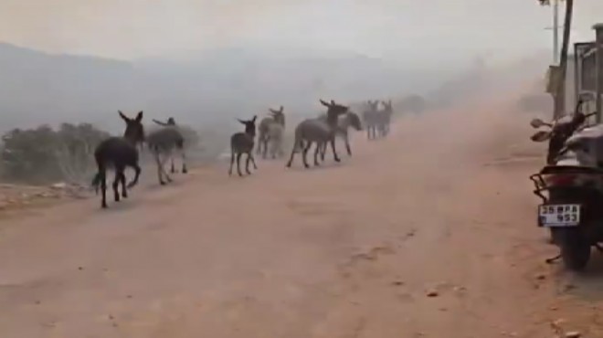 Tire yangınında ürperten görüntü: Ölümden kaçış!