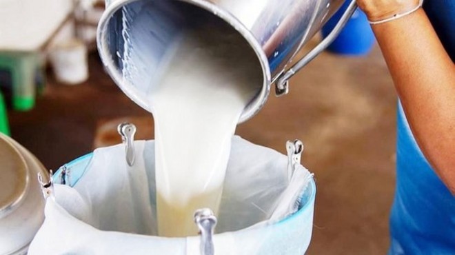 TÜİK: Çiğ süt üretimi yüzde 7,1 azaldı