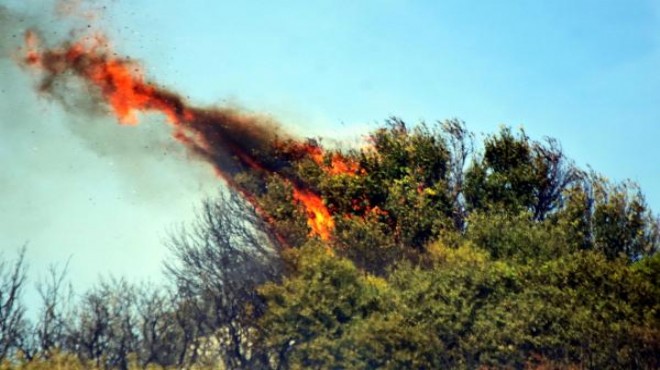 Turizm cennetinde büyük yangın: 3 hektar kül oldu!