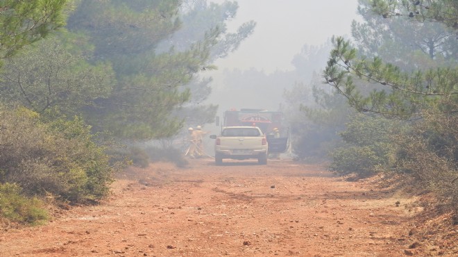 Urla’da orman yangını: 1 hektar kül oldu