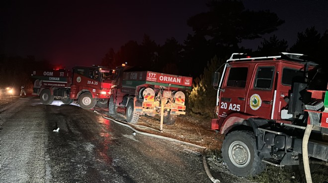 Uşak ta ormanlık alanda yangın!