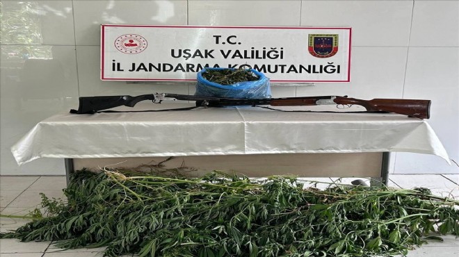 Uşak ta zehir operasyonu... 1 kilo esrar yakalandı!