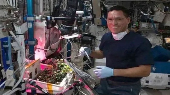 Uzayda kaybolan domates aylar sonra bulundu
