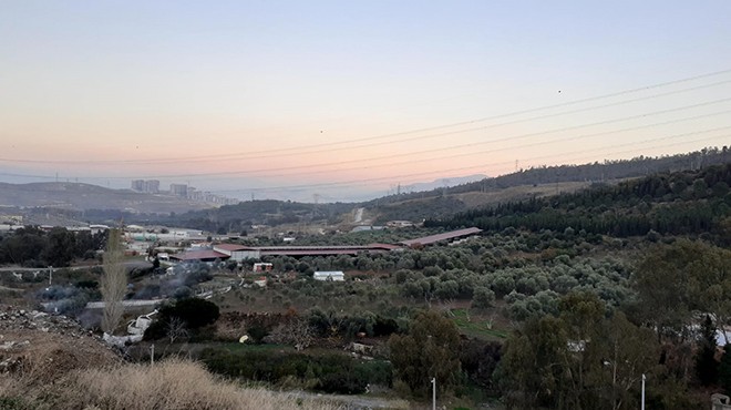 Uzunderelileri sevindiren karar... Büyükşehir in o planları Danıştay dan döndü!