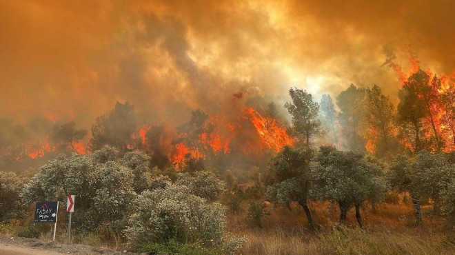 Valilikten vatandaşlara orman yangını uyarısı ve çağrı!