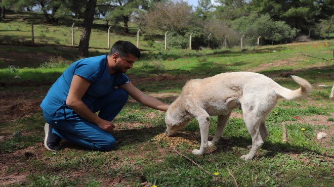 Veriler açıklandı... Menderes can dostların yanında!