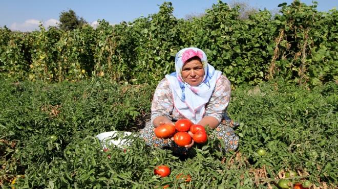 Yamanlar şenlikle  yeniden doğacak!