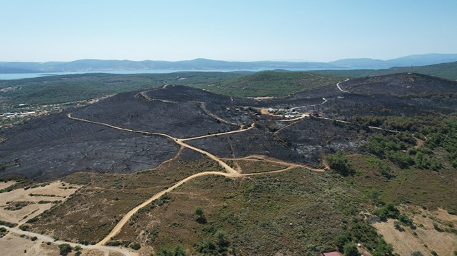 Yangın sonrası jet karar: Urla küllerinden doğacak