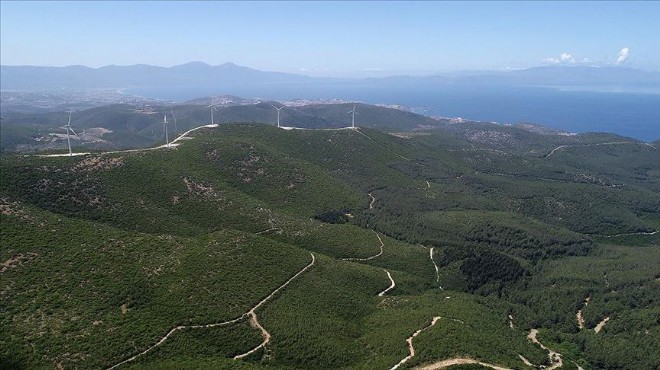 Yangınla kararan Bülbüldağı eski günlerine döndü