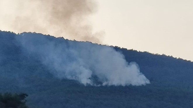 Yıldırım isabet etmişti... Orman yangını kontrol altında!