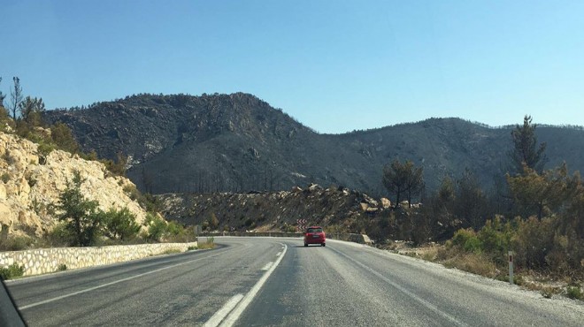 Yollar açıldı: İzmir deki büyük yangın sonrası acı tablo!