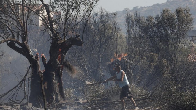 Yunanistan daki orman yangınlarında bir kişi öldü