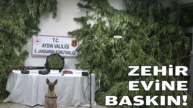 Zehir evine baskın!