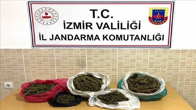 Zehir ve silah kaçakçılığı baskınları: 3 kişi tutuklandı!