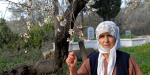 Kuşadası ve Marmaris te bademler çiçek açtı